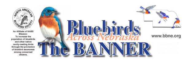 Bluebirds Across Nebraska Banner Header